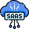 saas (1)